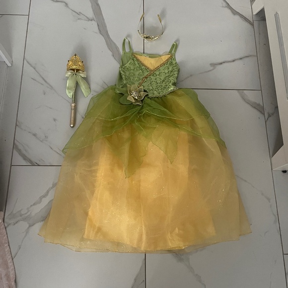 Tiana costume/tiara/light up wand